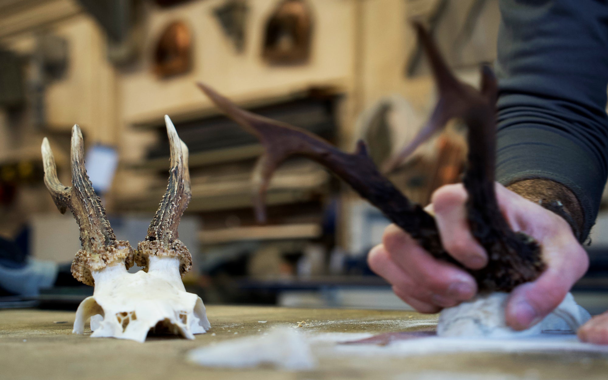 Honoring the Animal: The Complete Hunting Process