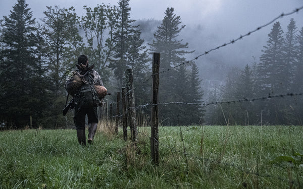 Chamois hunting in western Switzerland