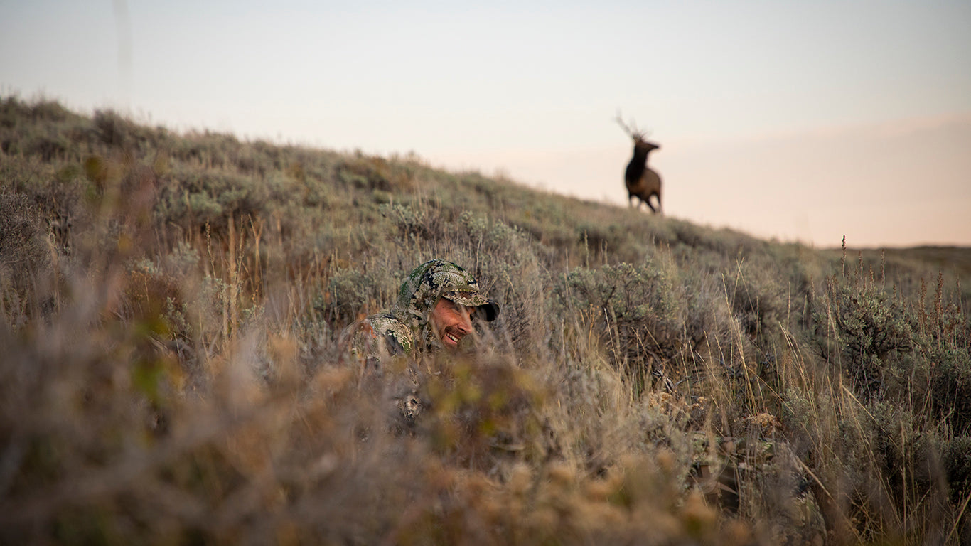 Subalpine_ed816f24-2be4-494a-a465-319acf6c25b7.jpg?v=1761848400&width=1366